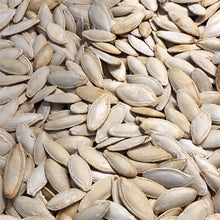 Load image into Gallery viewer, Salted Roasted Pumpkin Seeds 250 grams - B.5508
