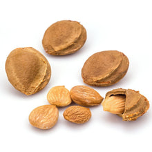 Load image into Gallery viewer, Apricot Kernel Unshelled 250 grams - B.5517
