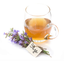 Load image into Gallery viewer, Sage Tea 20x1,3 GR - Beta Herbtea Collection - Beta Tea Global
