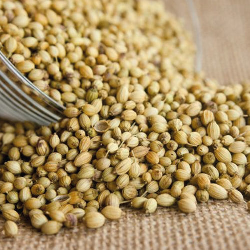 Whole Coriander 100 grams - B.3082