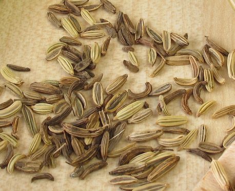 Fennel Tea 50GR B.1100 - Beta Tea Global