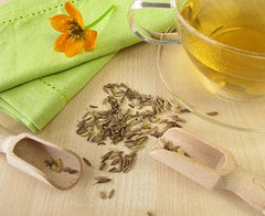 Fennel Tea 50 grams B.1100